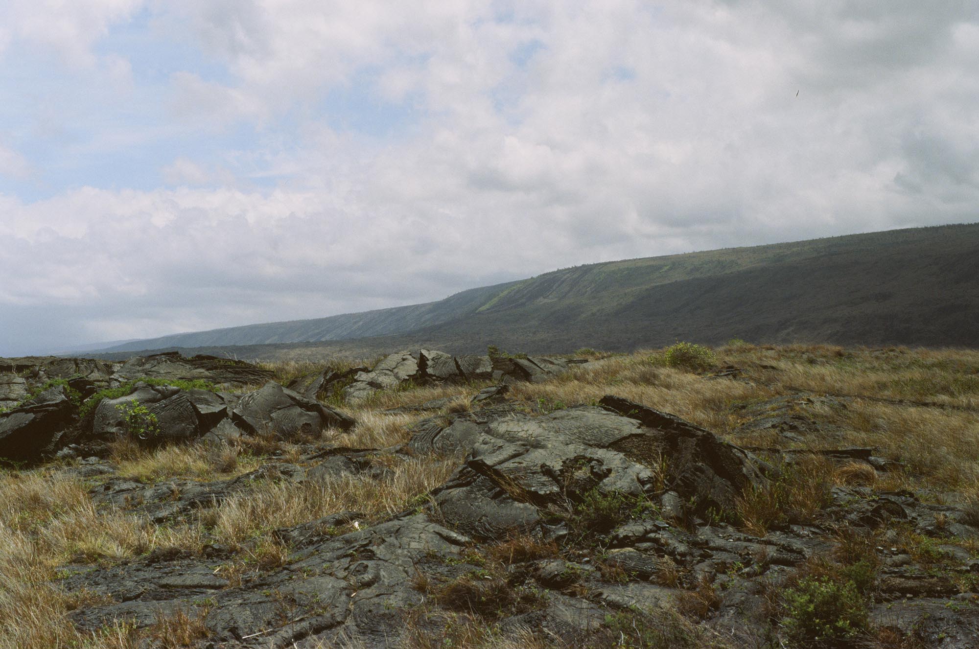 An old lava field with grasses sprouting through with hills in the distance